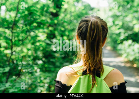 Vert des arbres dans la forêt dans la lumière du soleil. Banque D'Images
