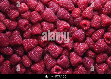 Full Frame Shot de framboises. Framboises fraîches biologiques. Banque D'Images