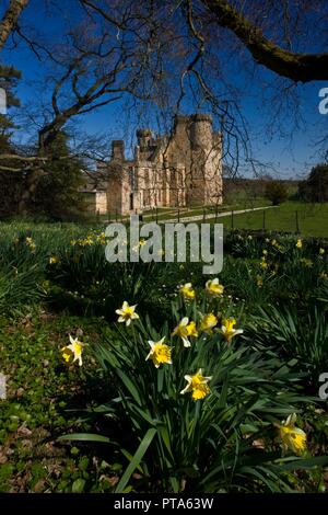 Château Belsay, Northumberland, 2009. Organisateur : Graeme Peacock. Banque D'Images