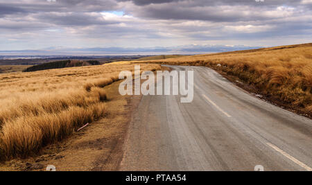 Un chemin de campagne à travers les vents dans les landes la forêt de Bowland, haut au-dessus de la Ville de Lancaster et la baie de Morecambe dans le Lancashire, dans le nord de l'Angleterre. Banque D'Images