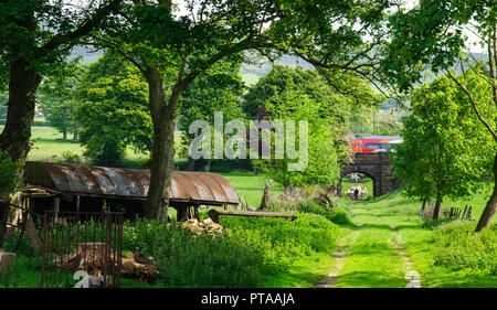 Edale, England, UK - 19 mai 2011 : Un agriculteur sur une ferme de moutons troupeaux piste dans le paysage pastoral de Edale dans le Derbyshire Peak District, tandis que d'un outil Banque D'Images