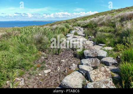 Des pierres formant un sentier plus Hellesveor au sol tourbeux falaise, près de St Ives, Cornwall, England, UK Banque D'Images