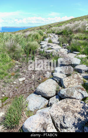 Des pierres formant un sentier plus Hellesveor au sol tourbeux falaise, près de St Ives, Cornwall, England, UK Banque D'Images