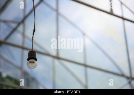 Ancien pendaison lampe à incandescence dans l'agriculture industrielle d'arrière-plan à effet de serre à l'intérieur de l'équipement d'éclairage artificiel. Conception de l'outil de com Banque D'Images