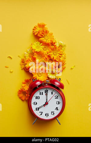 Réveil vintage rouge et marigold fleurs sur fond jaune. Banque D'Images