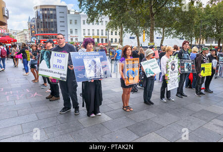 Le bien-être canin Animal protestors holding des pancartes à Leicester Square, West End, Londres WC2 à une manifestation pacifique sur la cruauté envers les lévriers Banque D'Images