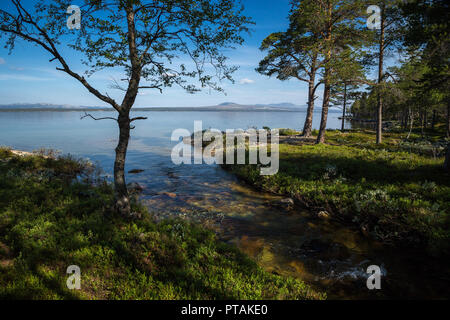 Lac Femunden dans Femundsmarka parc national en Norvège. Des vacances voyage. Banque D'Images