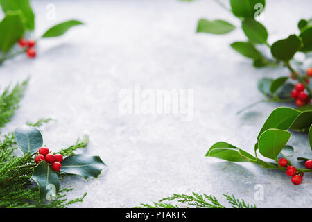 Décorations de Noël, des feuilles de houx avec les fruits rouges. Le houx (Ilex aquifolium européenne) Feuilles et fruits. Banque D'Images