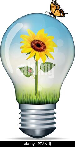 Vector illustration d'une ampoule avec un tournesol et une coccinelle et sur le dessus d'un papillon, de l'environnement concept, conseptual l'énergie verte Illustration de Vecteur