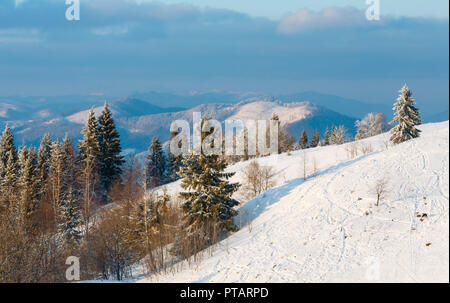 Soirée calme d'hiver paysage de montagne avec de beaux arbres et glaçage à la trace à travers la piste de ski de montagne (pente de neige sur les montagnes des Carpates, U Banque D'Images