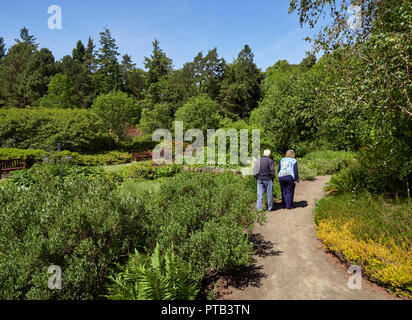 Un couple de personnes âgées marcher dans un chemin courbe dans le Rock Garden de St Andrews Botanic Gardens dans le Fife, en Écosse. Banque D'Images