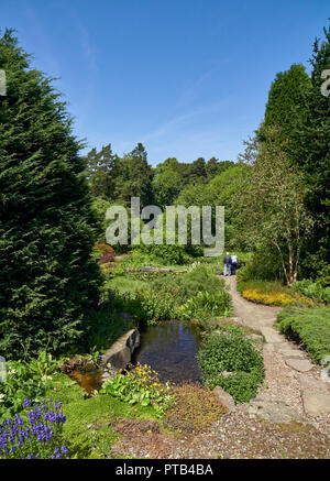 Un couple de personnes âgées à pied sur un sentier dans le jardin de St Andrews Botanic Gardens dans le Fife, en Écosse. Banque D'Images