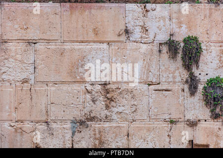 La texture du mur des lamentations aka. Mur ouest avec drapeau israélien Banque D'Images