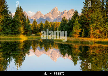 Tôt le matin à l'atterrissage Schwabacher Grand Tetons National Park, Wyoming Banque D'Images