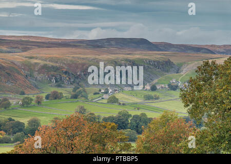 North Pennines Paysage de l'AONB, vue sur à côté de milieu Holwick, Middleton-in-Teesdale, County Durham, UK en automne Banque D'Images