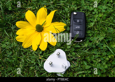 L'automobile électrique pour protéger la nature Banque D'Images