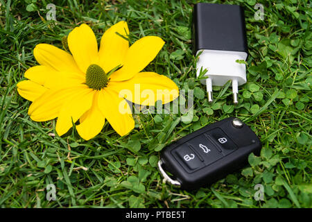 L'automobile électrique pour protéger la nature Banque D'Images