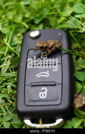 L'automobile électrique pour protéger la nature Banque D'Images