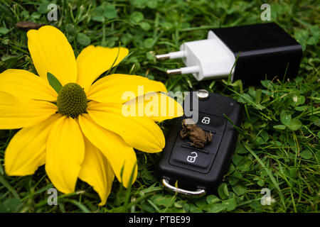 L'automobile électrique pour protéger la nature Banque D'Images