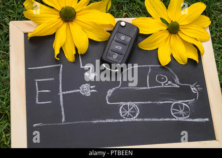 L'automobile électrique pour protéger la nature Banque D'Images