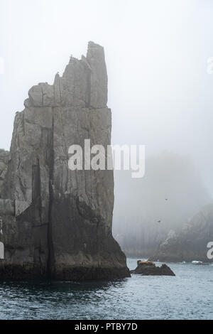 Les piles de la mer à l'intérieur de l'Chiswell, en Alaska's Resurrection Bay. L'otarie de Steller et les oiseaux nichent dans ce domaine Banque D'Images