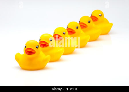 Gomme jaune canards sur fonds blanc Banque D'Images