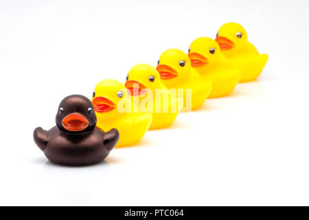 Ligne de canards jaunes de gomme Banque D'Images