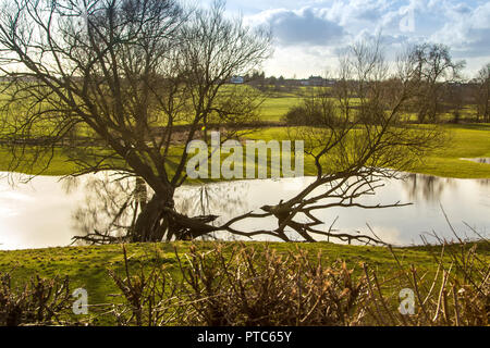 La submersion de terres en Studley, Warwickshire en 2014. Banque D'Images