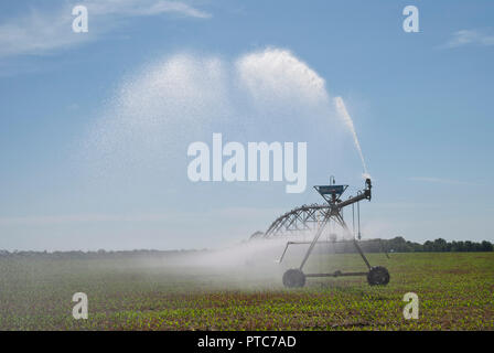 L'irrigation des cultures à pivot central distribue de l'eau à un système de récolte de maïs dans le centre-nord de la Floride. Banque D'Images
