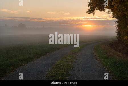 Allée sur le bord d'une forêt aux couleurs de l'automne, menant vers une prairie submergée par la brume, au lever du soleil, pas de gens, près de Schwabisch Hall, en Allemagne. Banque D'Images