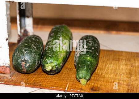 Trois Courgettes Légumes jardin maison sale sous cuisinière sur tuile en bois flore en Ukraine ou Russie datcha rustique pays maison ou gîte sur exploitation agricole Banque D'Images