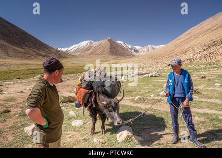 Les bergers et kirghize dans trekke Keng Shiber avec paniers yak pour trek à Bel Airyk Kara Jilga et col, Pamir, Tadjikistan, du Haut-Badakchan. Banque D'Images