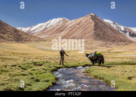 Les bergers kirghizes à Keng Shiber avec yak emballés pour l'expédition de Keng Shiber à Kara Jilga, Pamir, Tadjikistan, du Haut-Badakchan. Banque D'Images