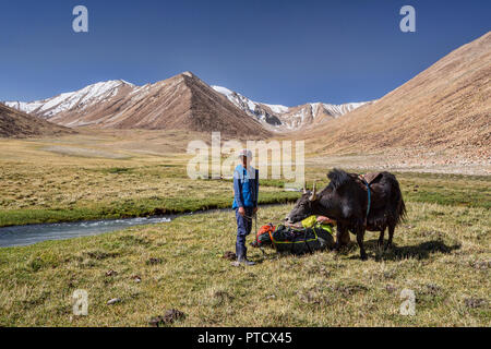 Les bergers kirghizes à Keng Shiber avec yak emballés pour l'expédition de Keng Shiber à Kara Jilga, Pamir, Tadjikistan, du Haut-Badakchan. Banque D'Images