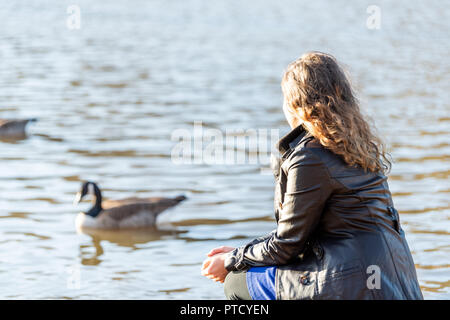 Gros plan du dos de jeune femme assise sur le bord du lac, étang, rivière, regarder des oiseaux sauvages, des canards, oies et bernaches, par l'eau pendant le coucher du soleil, le lever du soleil par temps froid Banque D'Images
