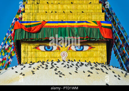 Les yeux de Bouddha au Stupa Boudhanath, avec des oiseaux, Katmandou, Népal Banque D'Images