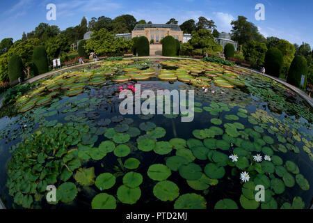 Étang aux Nymphéas, fisheye, la villa mauresque, le Jardin zoologique et botanique Wilhelma, Stuttgart, Bade-Wurtemberg, Allemagne Banque D'Images