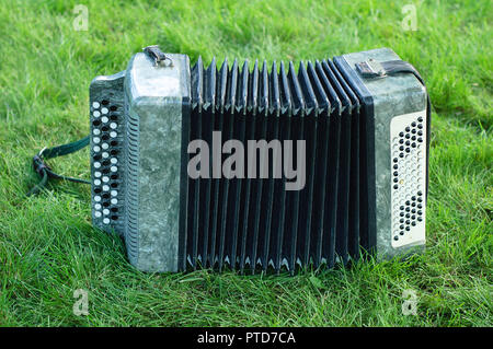 L'accordéon sur l'herbe verte en été Banque D'Images