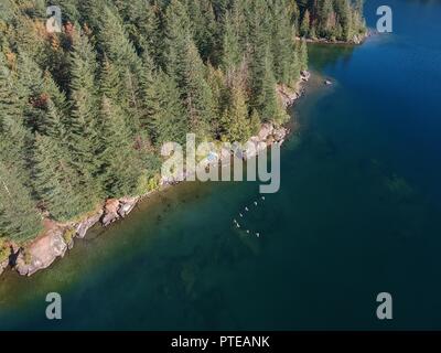 Vue aérienne de kayak sur un lac sauvage beach front, journée ensoleillée, blue, green lake de sapins et les oies et les oiseaux en vue Banque D'Images