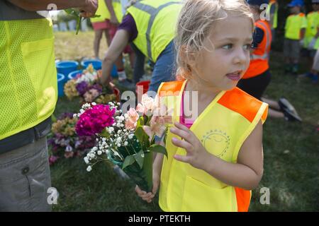 Ada Sharpe recueille des fleurs à jeter sur les tombes dans l'article 21 du Cimetière National d'Arlington, Arlington, Va., le 17 juillet 2017. Plus de 400 professionnels ont participé à paysage bénévole l'Association nationale des professionnels du paysage et de renouvellement annuel 21 souvenir à l'ANC. Banque D'Images