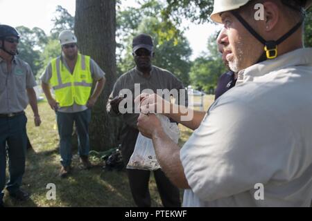 Stephen Paepke, Joshua Tree Arbre professionnel et l'entretien des pelouses, explique comment les systèmes de protection contre la foudre sont installés à l'article 30 du Cimetière National d'Arlington, Arlington, Va., le 17 juillet 2017. Au cours de l'Association nationale des professionnels du paysage et de renouvellement annuel 21 souvenir, environ 10 grands chênes, en quatre sections distinctes ont reçu des systèmes de protection contre la foudre. Banque D'Images