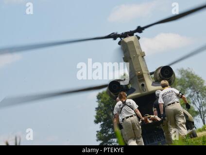 Une équipe d'aide médicale en cas de catastrophe (DMAT) procède à la formation d'évacuation aéromédicale en simulant le transport médical des blessés au cours d'exercices 17 PATRIOT North à Volk Field Air National Guard Base Juillet 18, 2017. La DMAT comprend le personnel médical qui peut fournir des soins médicaux d'intervention rapide jusqu'à d'autres ressources ou d'un contrat peut être mobilisé. DMATs sont une composante du ministère américain de la Santé et des services médicaux en cas de catastrophe nationale des équipes de réponse du système, un partenaire civil fédéral pour Patriot. Banque D'Images