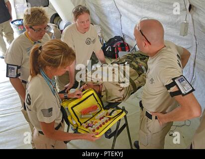 Une équipe d'aide médicale en cas de catastrophe (DMAT) procède à la formation d'évacuation aéromédicale en simulant le transport médical des blessés au cours d'exercices 17 PATRIOT North à Volk Field Air National Guard Base Juillet 18, 2017. La DMAT comprend le personnel médical qui peut fournir des soins médicaux d'intervention rapide jusqu'à d'autres ressources ou d'un contrat peut être mobilisé. DMATs sont une composante du ministère américain de la Santé et des services médicaux en cas de catastrophe nationale des équipes de réponse du système, un partenaire civil fédéral pour Patriot. Banque D'Images