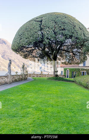 Lecco, Italy-April 1, 2018 : Scenic Tree en jardin de la célèbre Villa del Balbianello à Lecco, Lombardie Banque D'Images