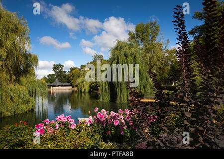 L'Angleterre, Berkshire, abaisser, Basildon Beale Park Wildlife Park et jardins, le lac et le Centre de Beale Banque D'Images