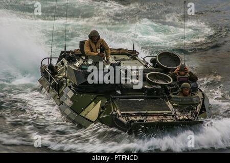 Les Marines américains à l'assaut du véhicule amphibie (AAV) peloton, 26e Marine Expeditionary Unit (MEU) se préparent à se lancer sur le USS Whidbey Island (LSD-41) au cours de l'Escadron amphibie (PHIBRON)-MEU Intégration Formation (PMINT) au large de la côte de la Caroline du Nord le 10 juillet 2017. PMINT le Navy-Marine Corps permet d'améliorer l'interopérabilité de l'équipe et d'exercer les capacités uniques de la Task Force amphibie. Banque D'Images