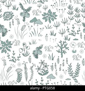 Vector floral moderne modèle transparent avec le nord de l'éléments de la flore. La toundra, design nordique, des plantes, des baies et des fleurs Illustration de Vecteur