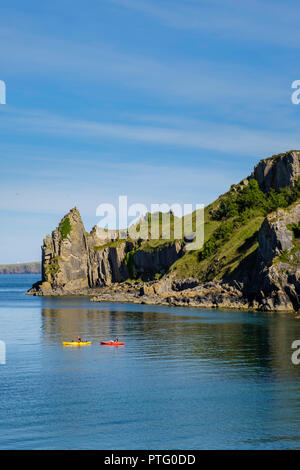 LYDSEP,HAVEN,PEMBROKESHIRE LE PARC NATIONAL. Banque D'Images