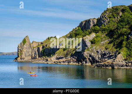 LYDSEP,HAVEN,PEMBROKESHIRE LE PARC NATIONAL. Banque D'Images