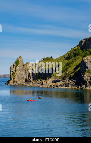 LYDSEP,HAVEN,PEMBROKESHIRE LE PARC NATIONAL. Banque D'Images